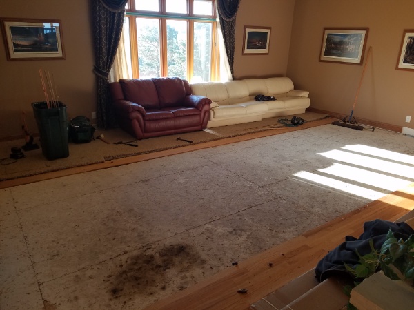 Replacing Damaged Underfloor