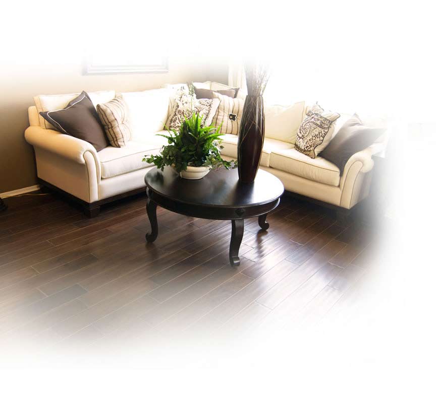 Wood flooring for the living room